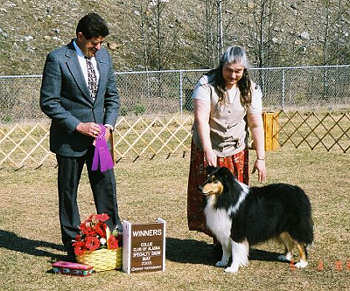 collie-specialty-may-2003.jpg